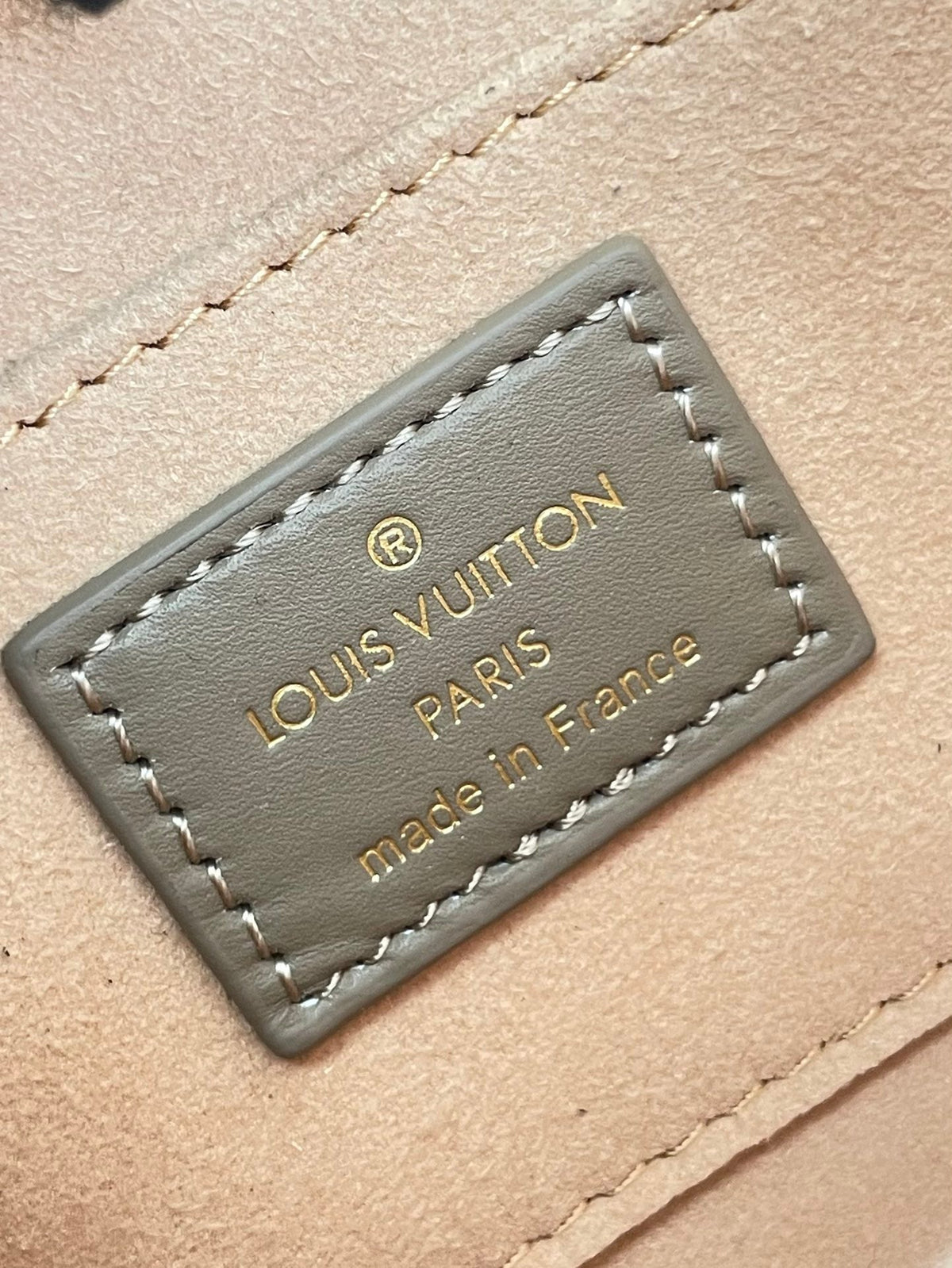 DAUPHINE MINI 20 IN MEDIUM BROWN EPI GRAINED CALFSKIN GOLD HARDWARE