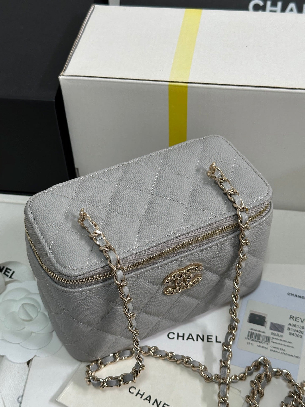 VANITY CASE 17 CRYSTAL STUDDED LOGO IN GREY CALFSKIN GOLD HARDWARE